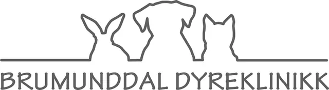 Logo, Brumunddal dyreklinikk AS